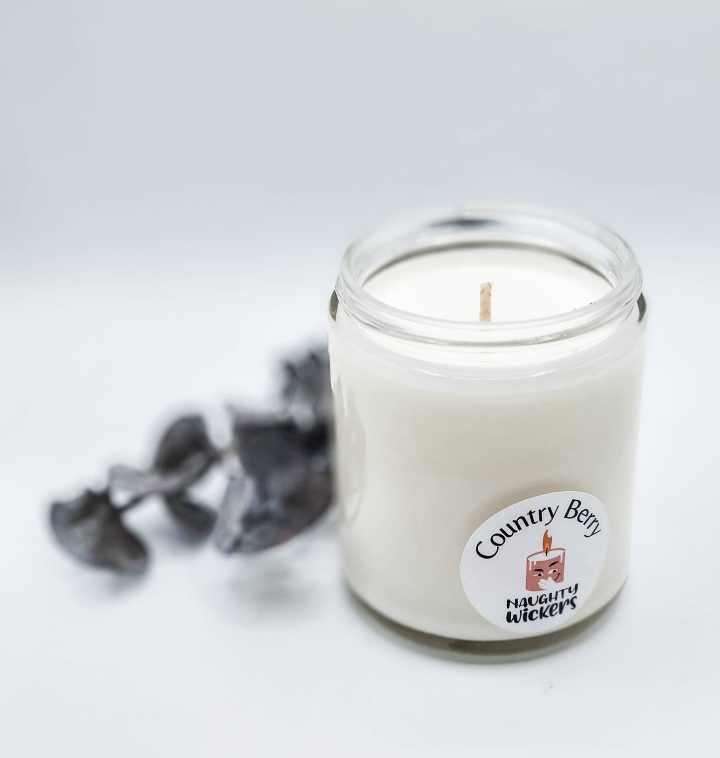Welcome to the Shitshow - Funny, Rude, Sweary Candle: Fruity Pebbles