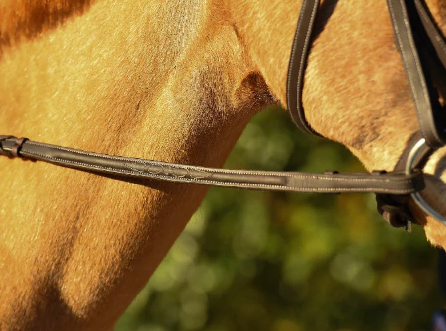 Reins Pony by Belle & Bow