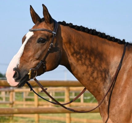 Bridle One Liberty Horse Bridle Jumpin