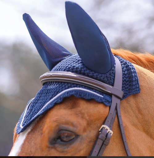 fly hood crystal core (pony)