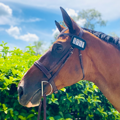 Bridle Competition Numbers PRO4MANCE | # I.D. - Black (Qty. 2, 4-digit)
