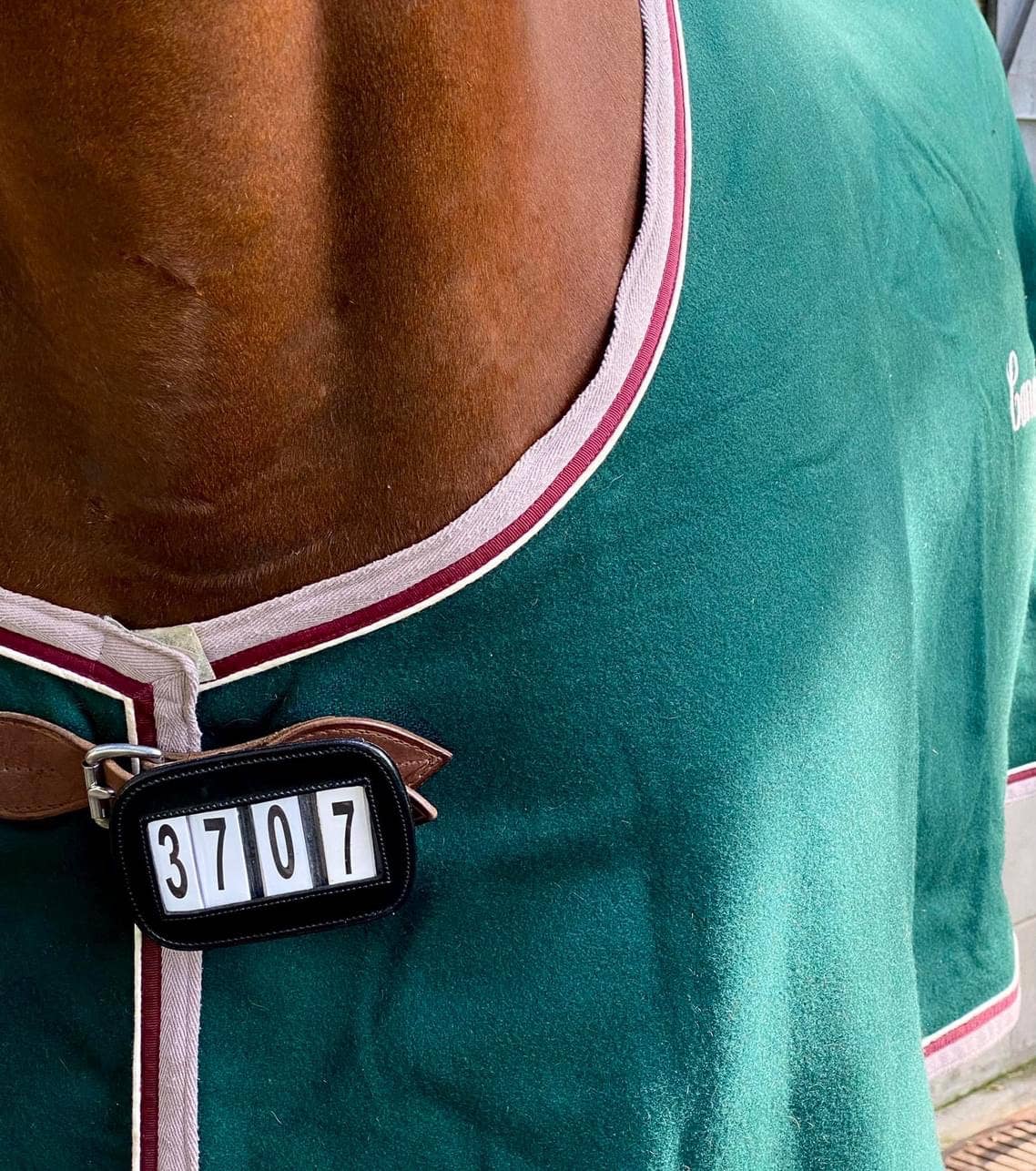 Bridle Competition Numbers PRO4MANCE | # I.D. - Black (Qty. 2, 4-digit)