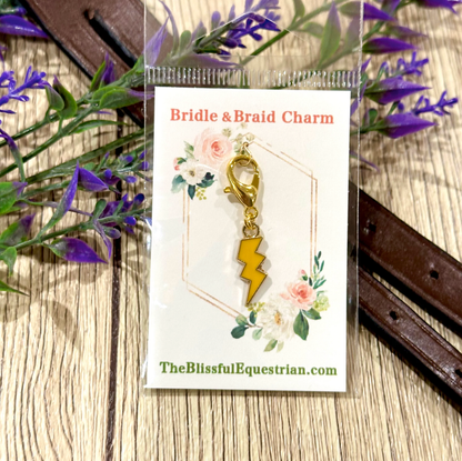 Bridle Braid Charms: Rainbow