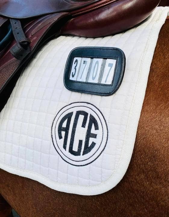 Bridle Competition Numbers PRO4MANCE | # I.D. - Black (Qty. 2, 4-digit)