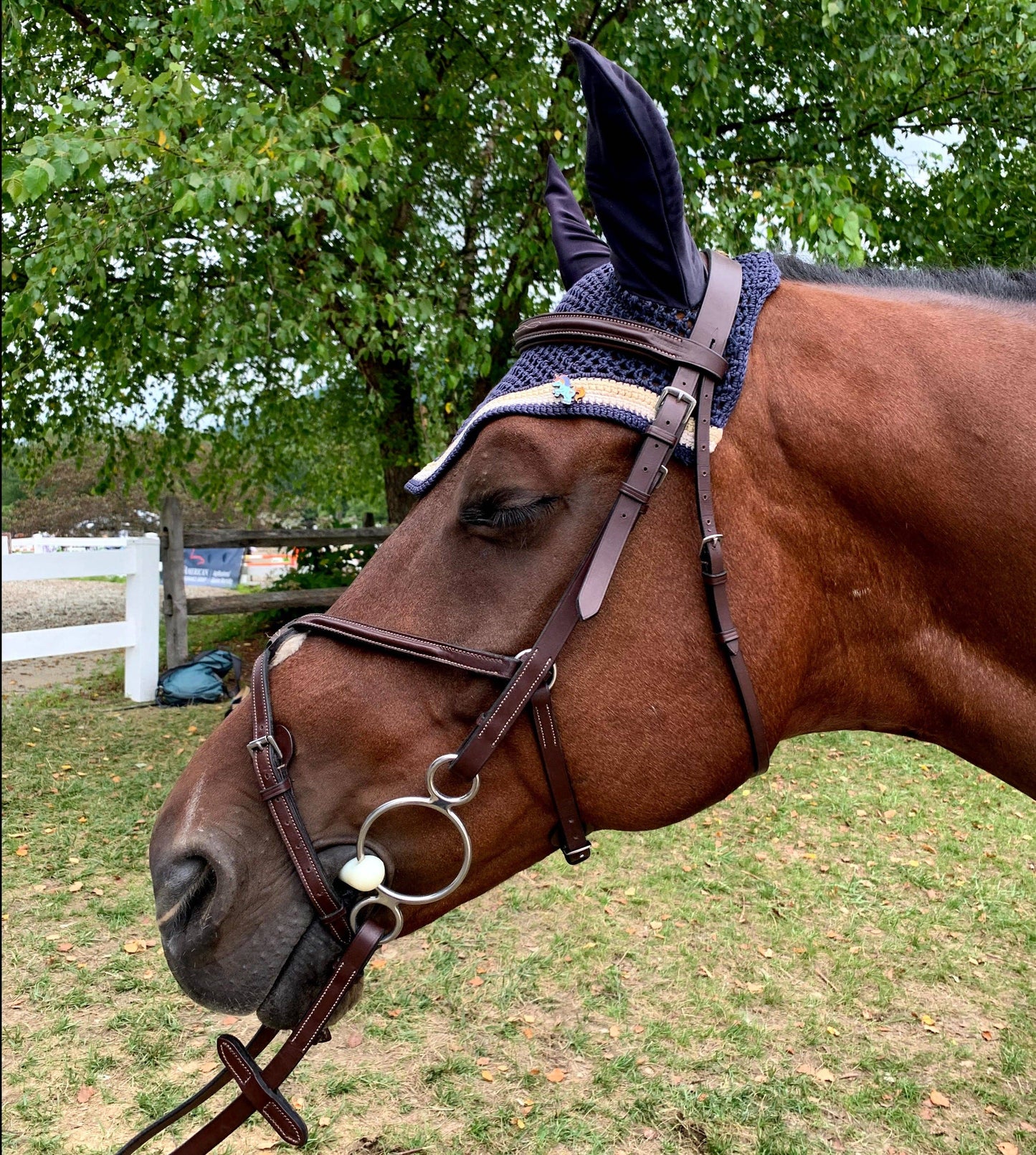 Flying Unicorn Saddle Pad Pins