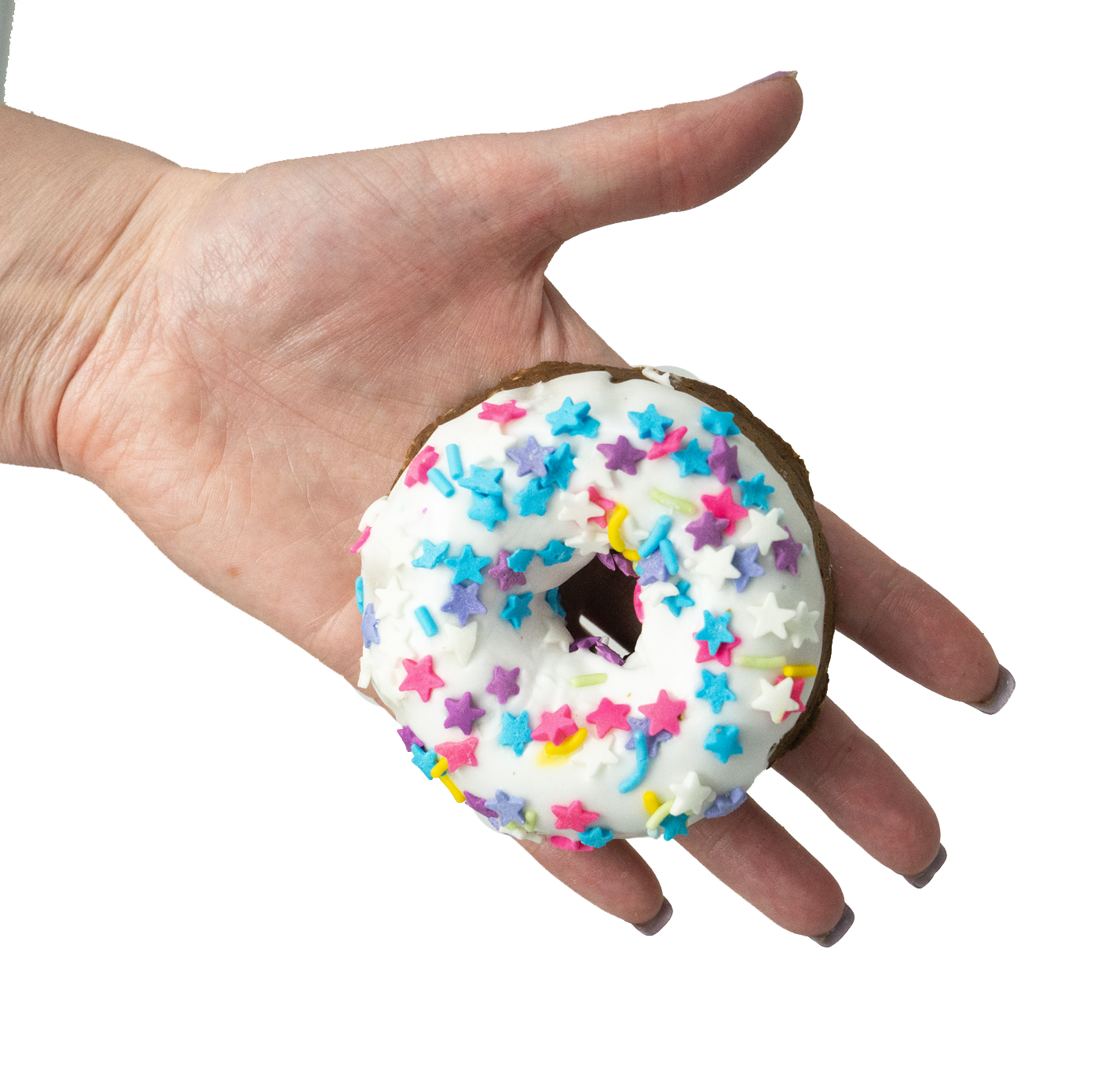 Large Party Donut Horse Treat