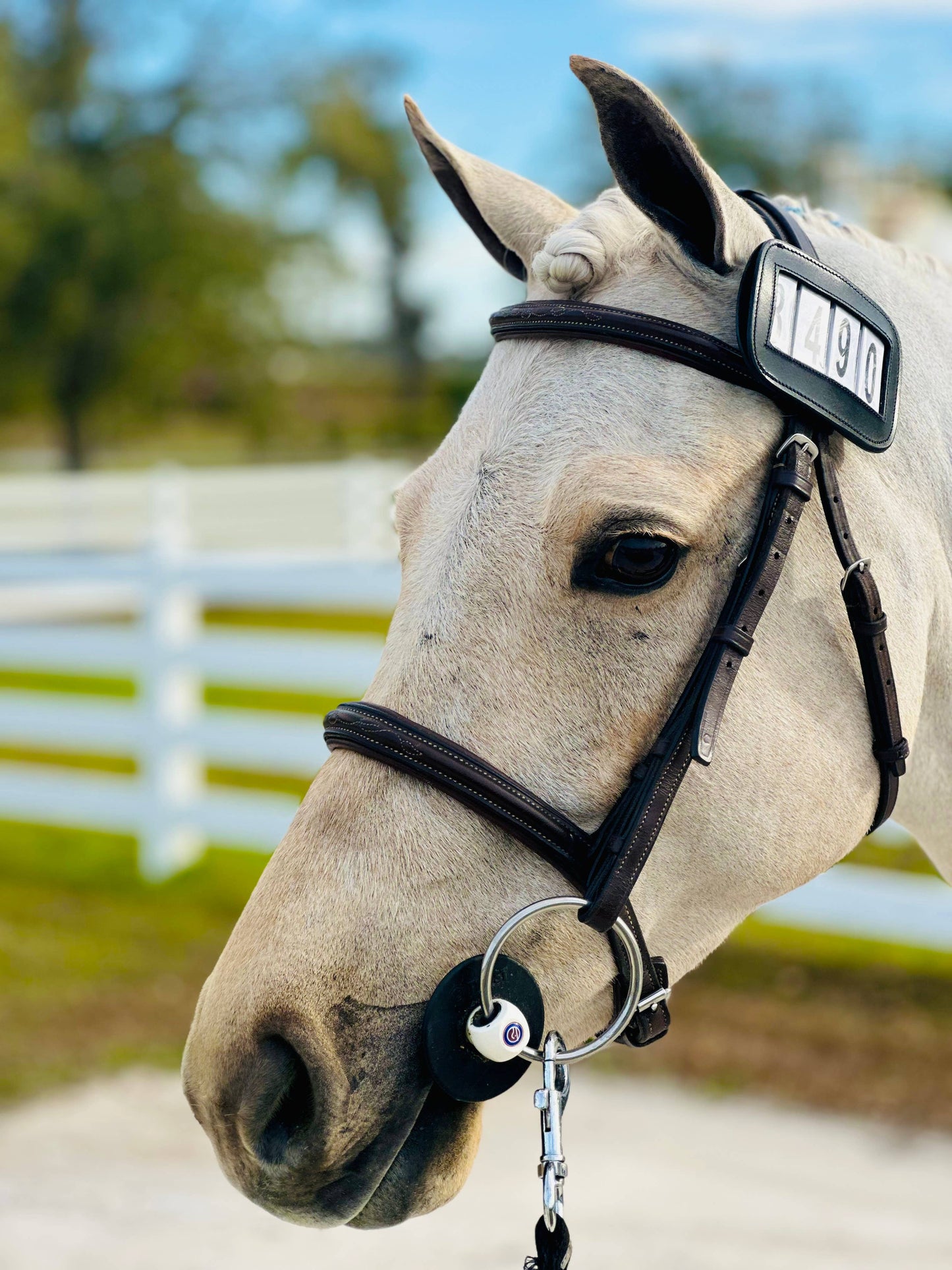 Bridle Competition Numbers PRO4MANCE | # I.D. - Black (Qty. 2, 4-digit)