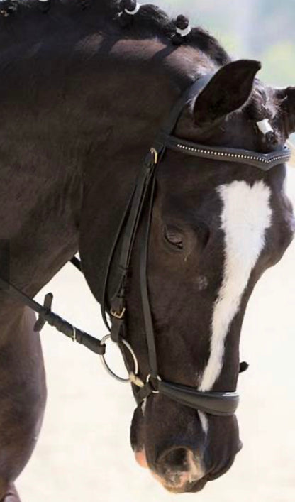 Drop Noseband Brown