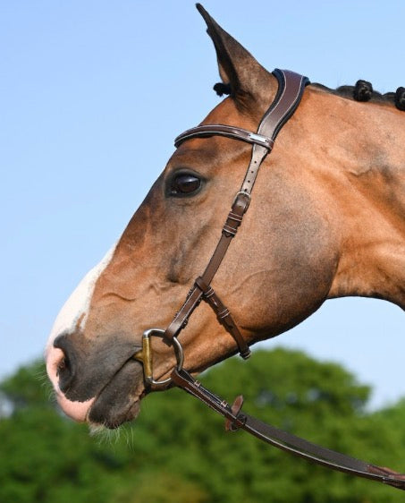 Bridle One Liberty Horse Bridle Jumpin