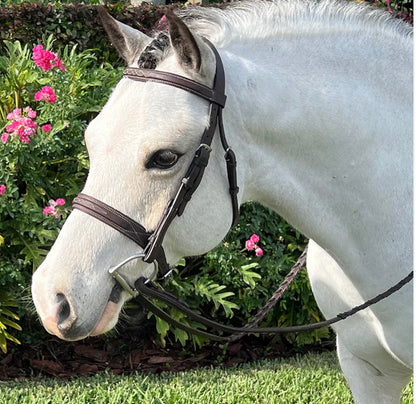 Wide A Circuit Pony Bridle 123-BB