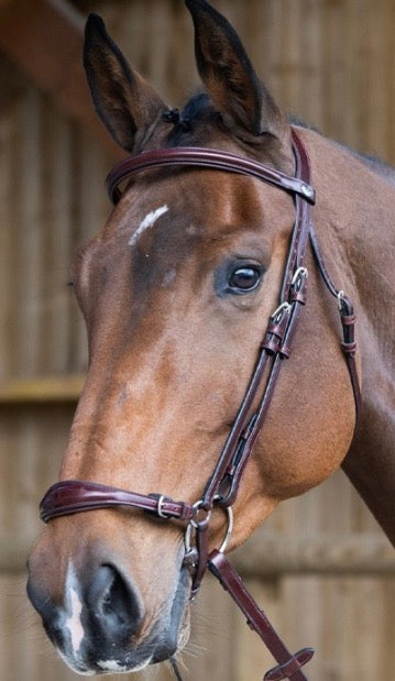Bridle Drop Noseband Piece for Horse Bridle Italian Leather Jumpin