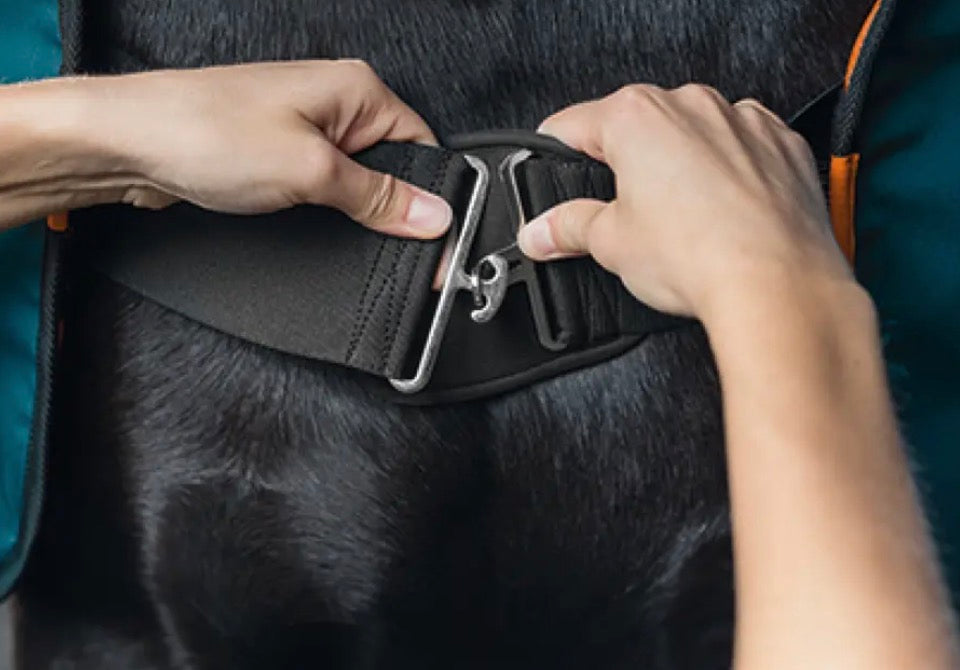 BEMER Horse Set -Bemer Equine PEMF Horse Blanket & Leg Pair Applicator Set