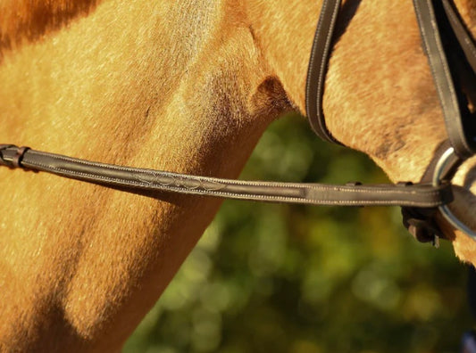 Reins Pony by Belle & Bow