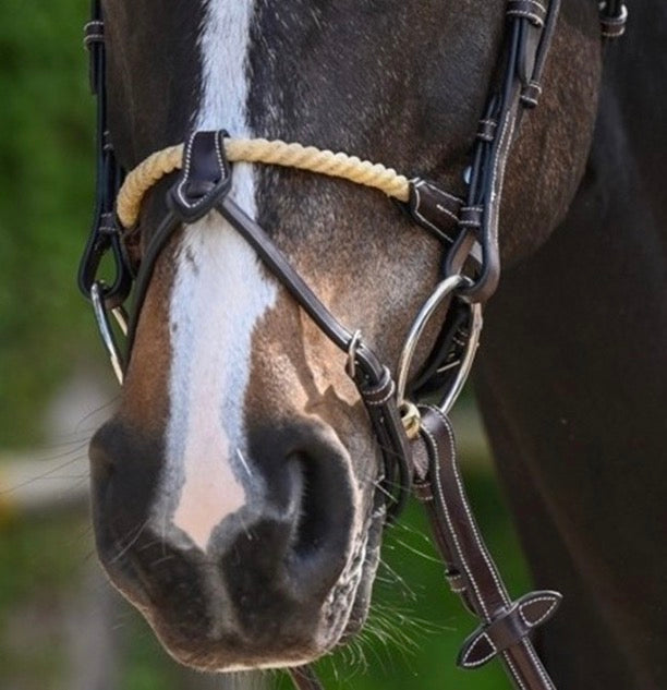 Bridle Week Rope Nose with Flash Noseband Piece for Attachment to Horse Bridle Italian Leather Jumpin