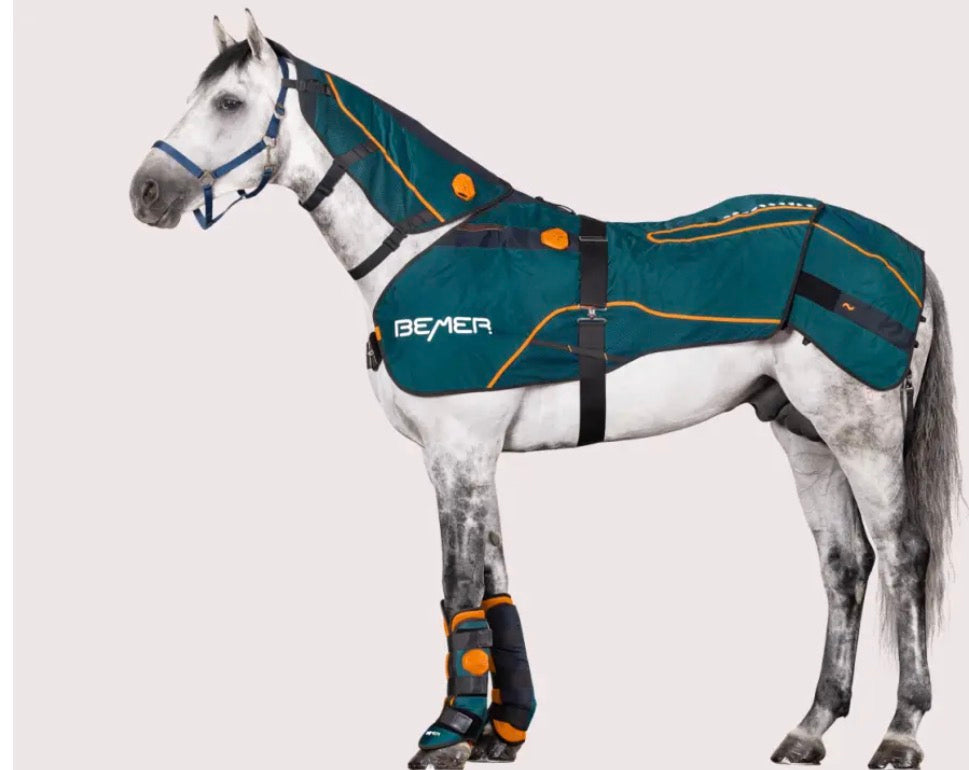 BEMER Perfect Horse Duo - Bemer Equine PEMF Horse Blanket & Neck Applicator Set