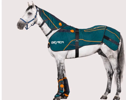 BEMER Perfect Horse Duo - Bemer Equine PEMF Horse Blanket & Neck Applicator Set