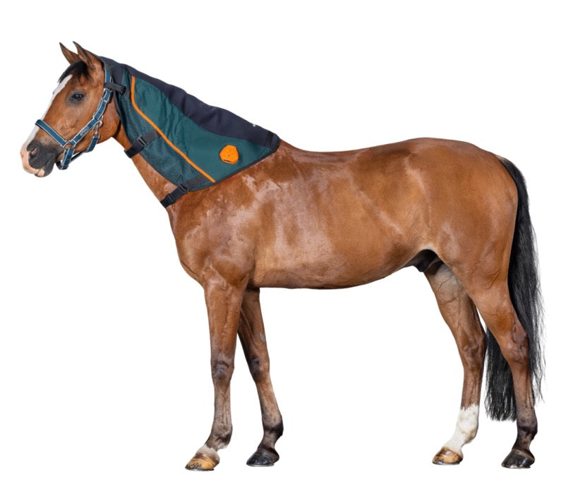BEMER Horse Neck Applicator Bemer Equine PEMF Horse Blanket & Leg Pair Applicator Set