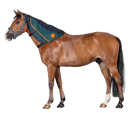 BEMER Horse Neck Applicator Bemer Equine PEMF Horse Blanket & Leg Pair Applicator Set