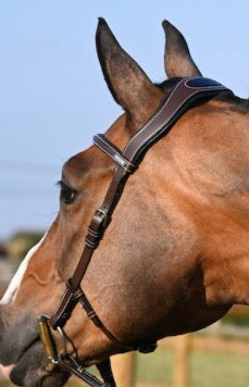 Bridle One Liberty Horse Bridle Jumpin