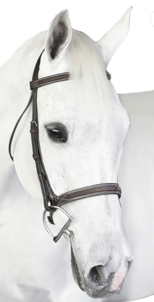 Wide A Circuit Horse Bridle