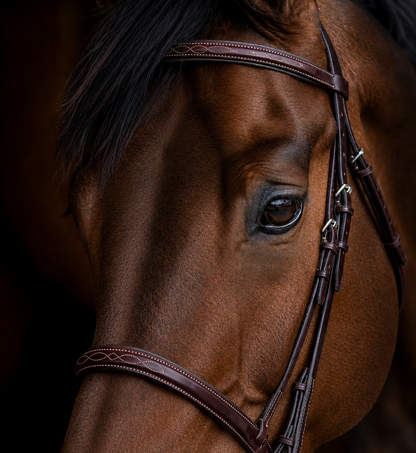 Edgewood Hunter Bridle Wide Fancy 1” - 10LFZ