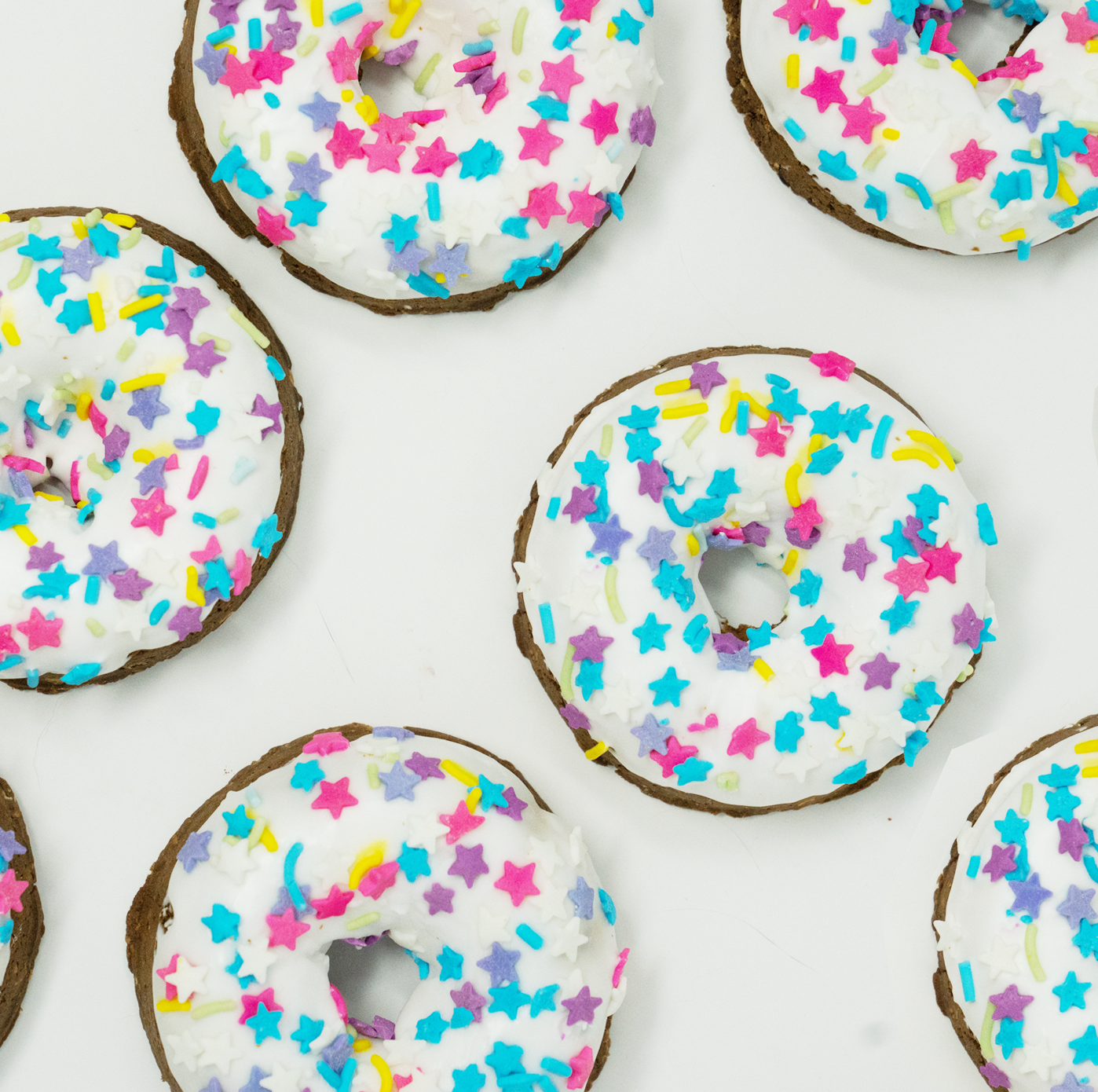 Large Party Donut Horse Treat