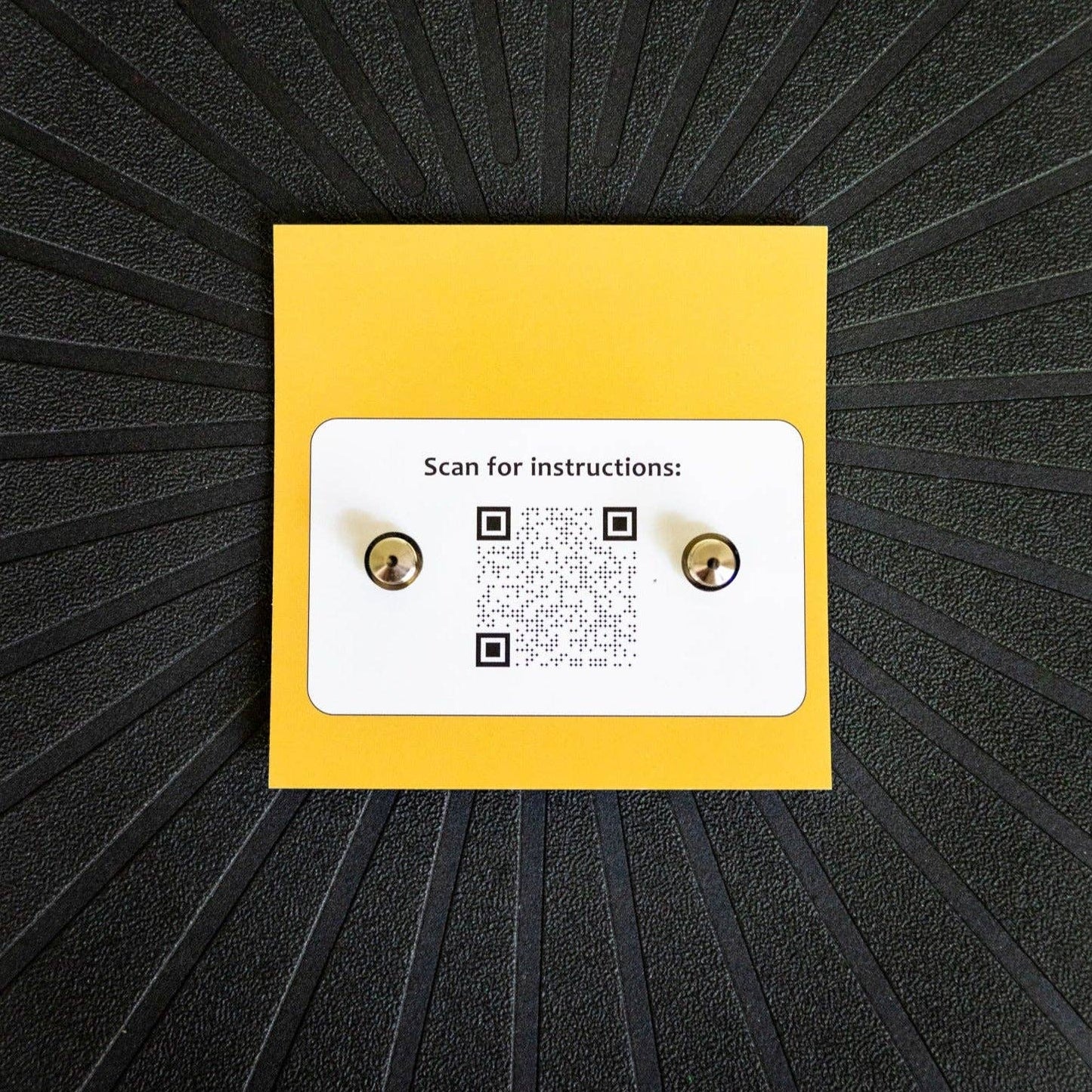 Avocado Pins