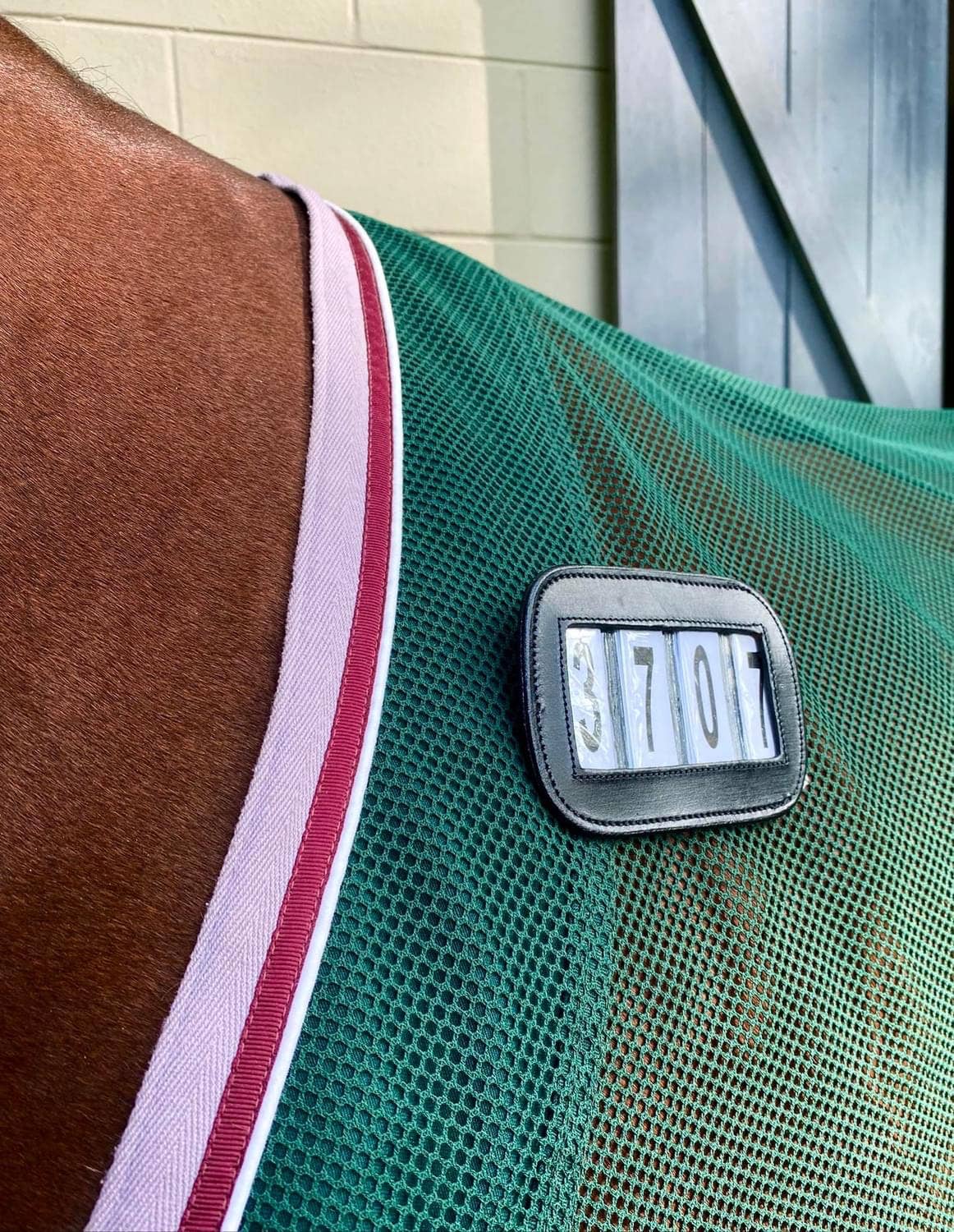 Bridle Competition Numbers PRO4MANCE | # I.D. - Black (Qty. 2, 4-digit)