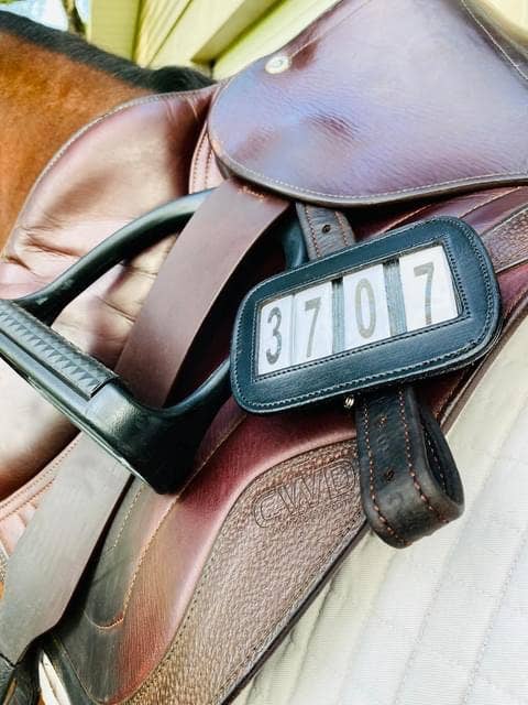 Bridle Competition Numbers PRO4MANCE | # I.D. - Black (Qty. 2, 4-digit)