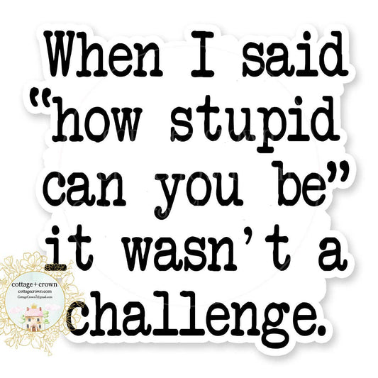 When I Said How Stupid Can You Be Wasn't A Challenge Sticker
