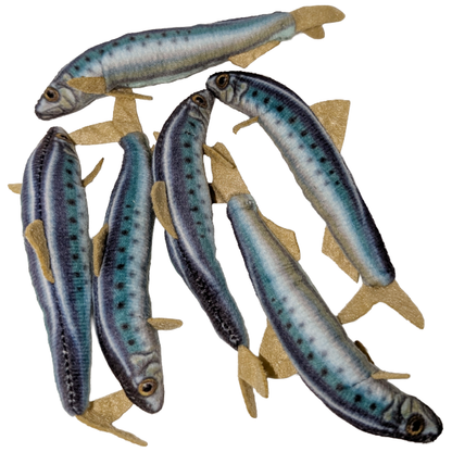 Can O' Sardines | Fish Stuffed Animal Plush w/Funny Jokes: Regular Lid