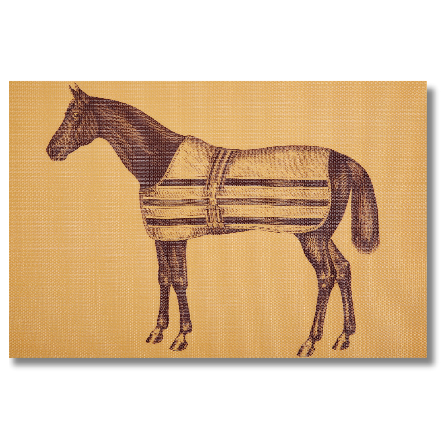 Equestrian Vintage Woven Vinyl Placemats – Set of 4