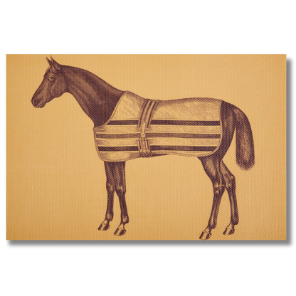 Equestrian Vintage Woven Vinyl Placemats – Set of 4