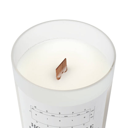 Frosted Glass Candle, 11oz - Hold On/Overthink: Blackberry Vanilla / 11oz