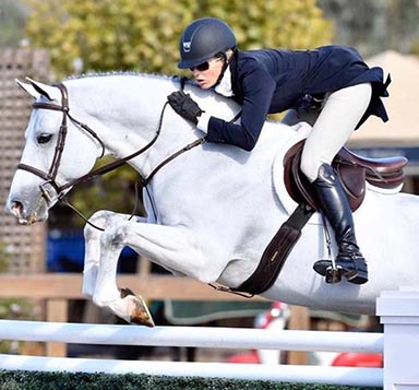 Hunter Jumper