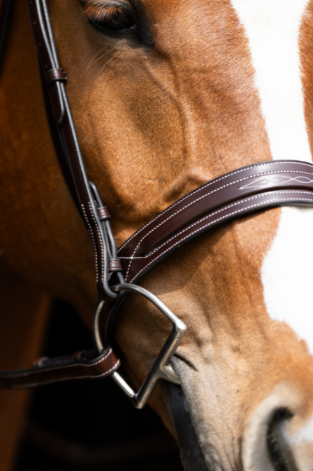 Bridle Fancy Dark Oil A Circuit Fancy Stitch