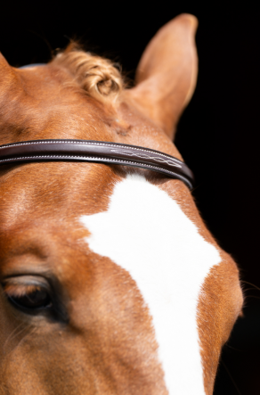 Bridle Fancy Dark Oil A Circuit Fancy Stitch